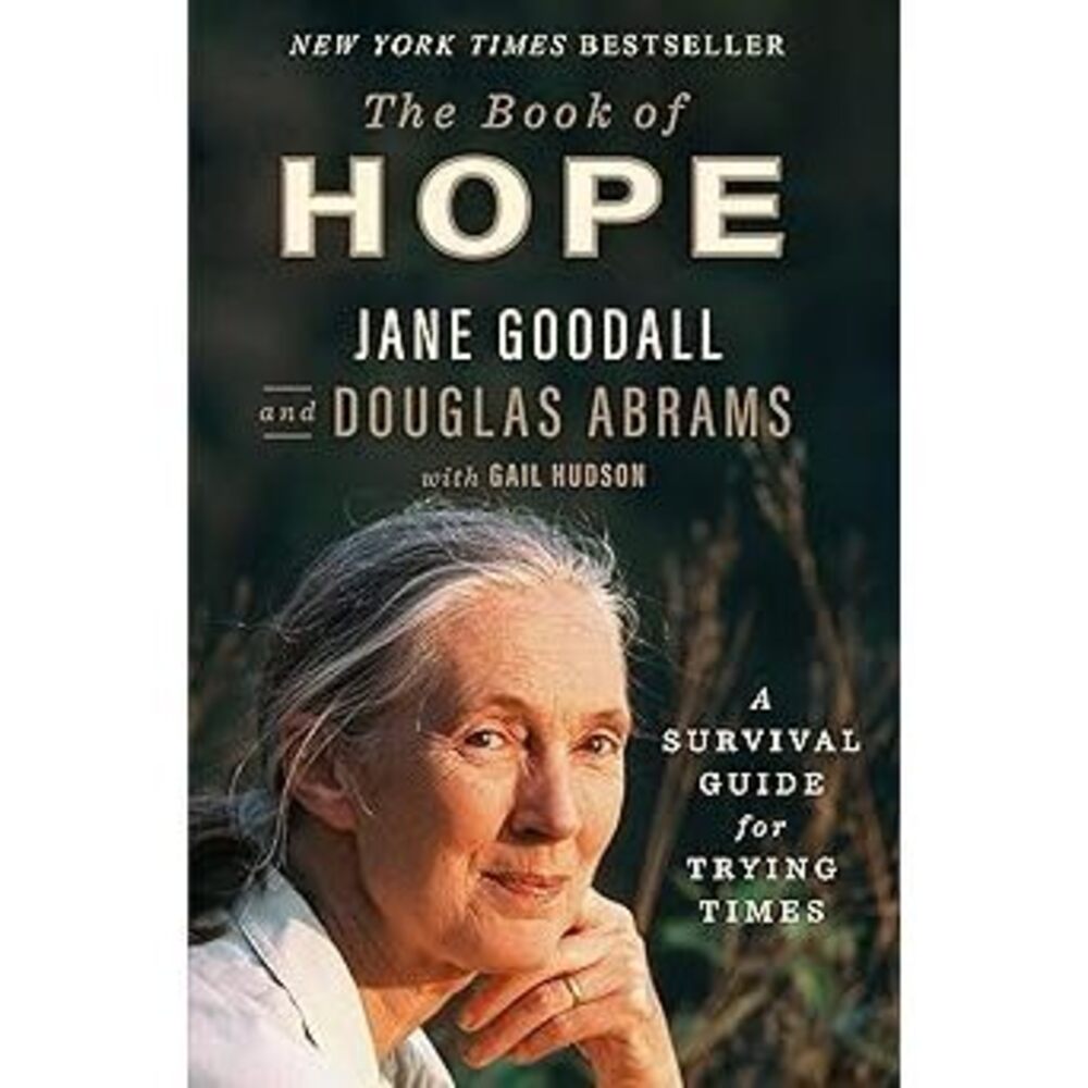 The Book Of Hope: A Survival Guide For Trying Times (Global Icons Series)